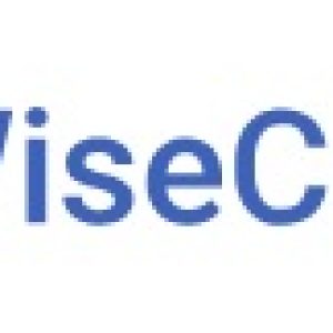 wisecleaner logo